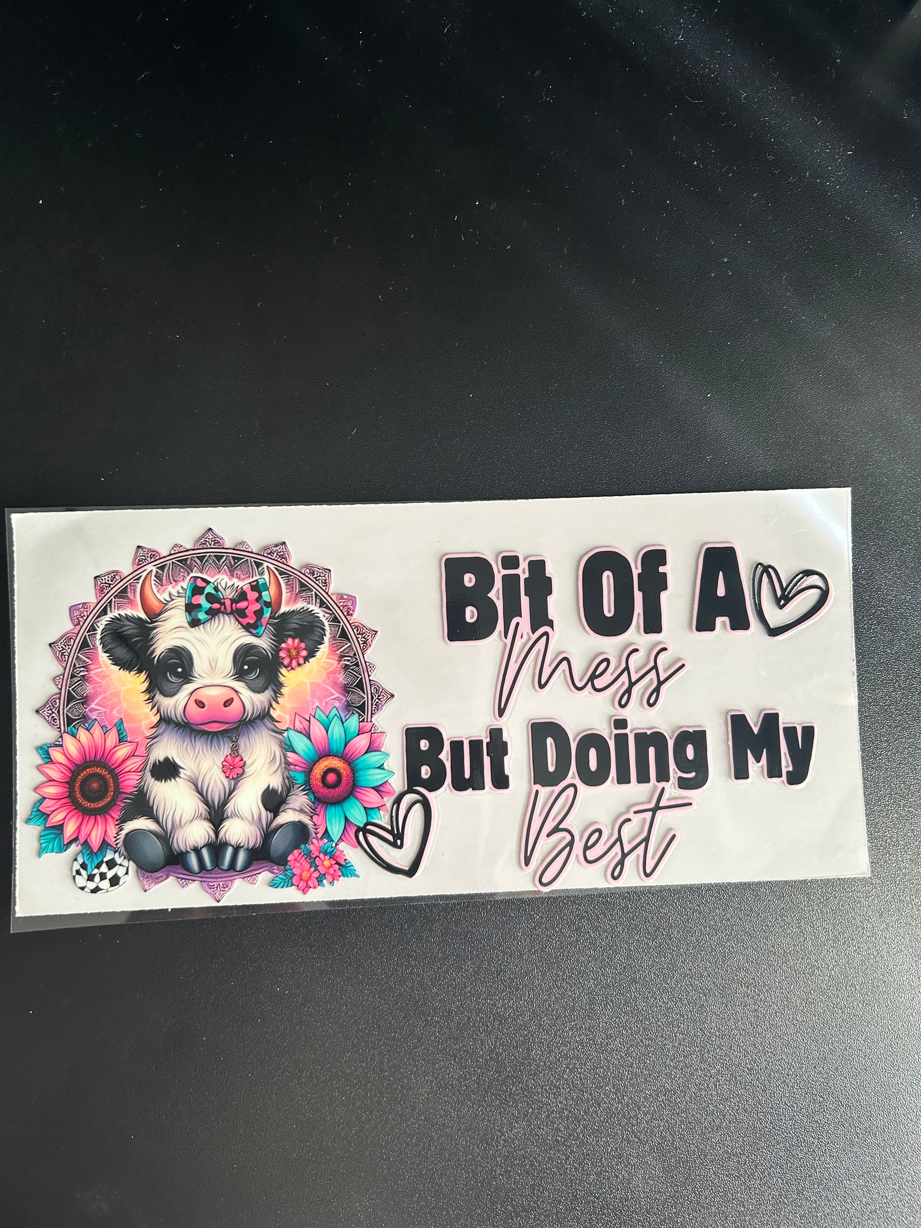 #62 - Bit of a Mess But Doing My Best